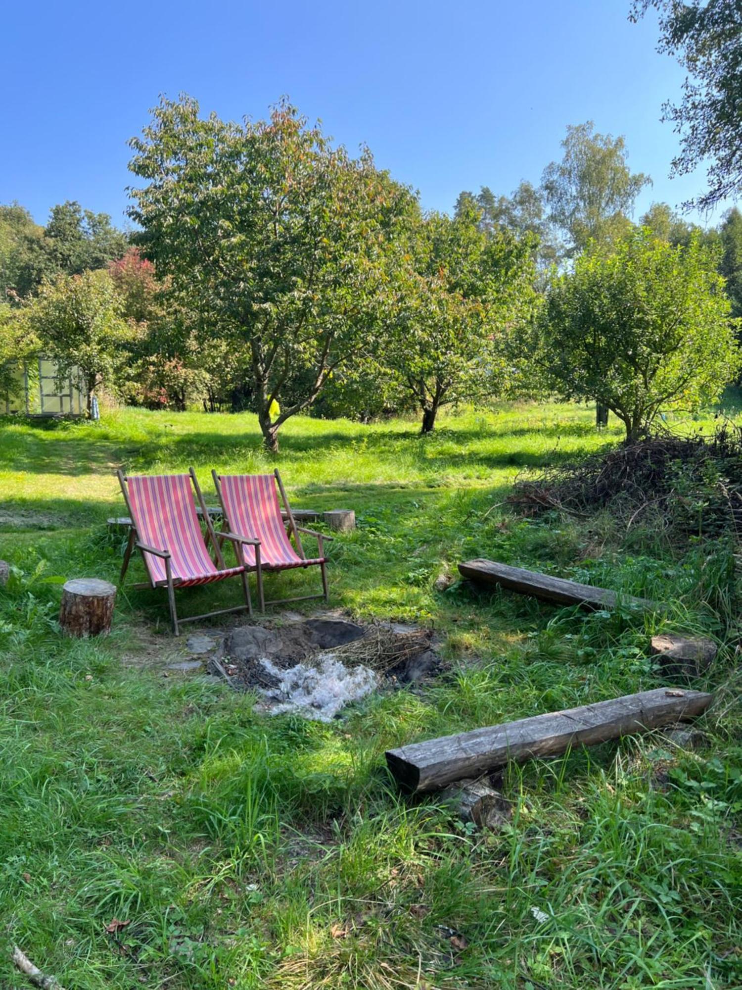 Forest Paradise Stružná