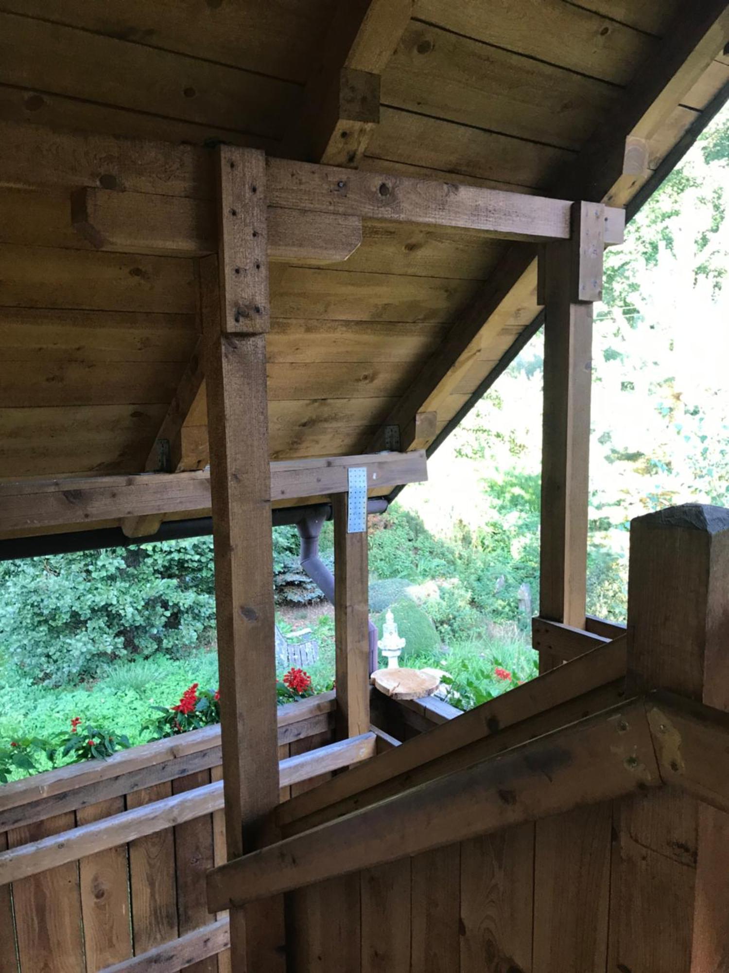 Forest Paradise Struzna