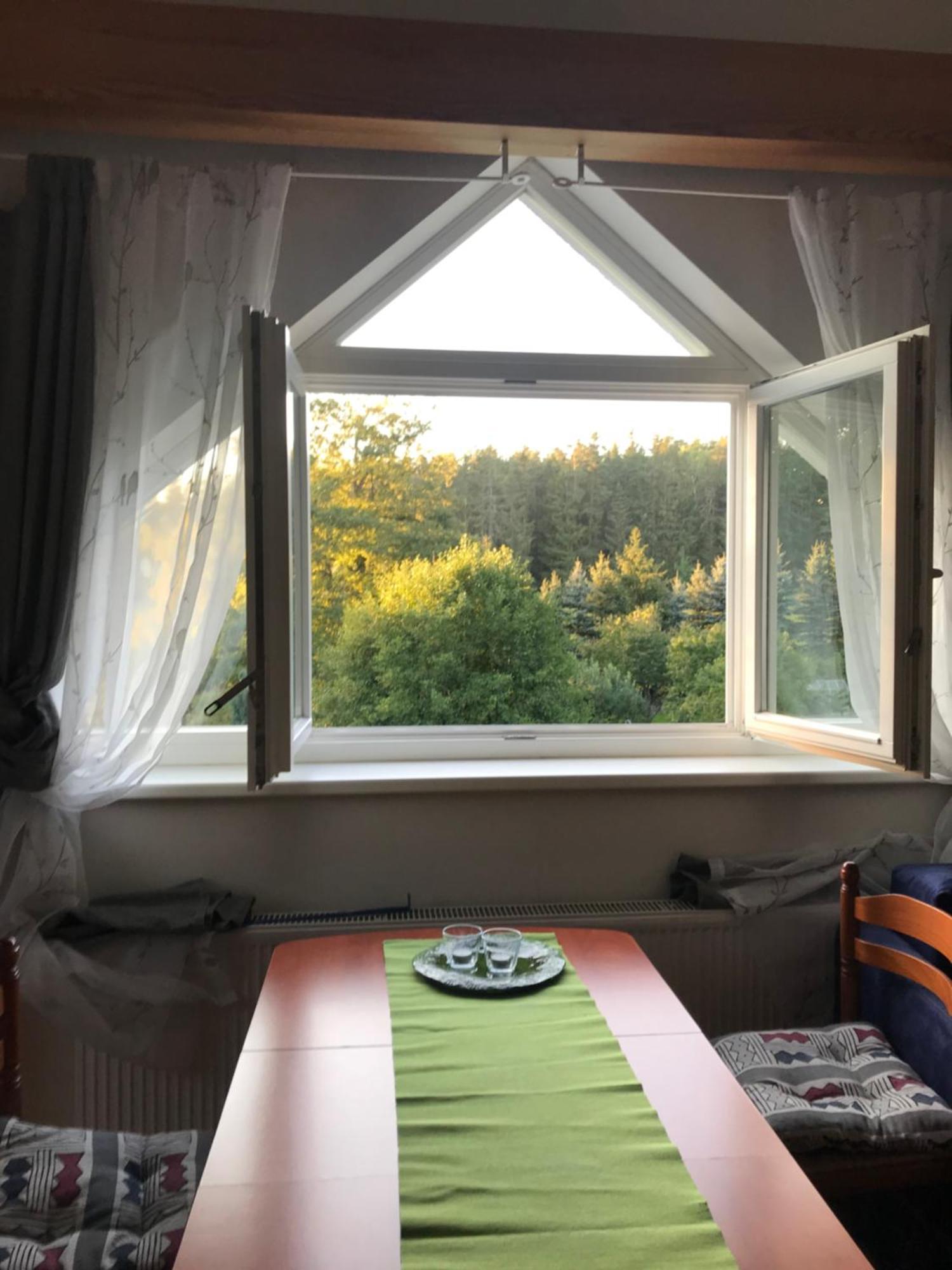 Forest Paradise Struzna