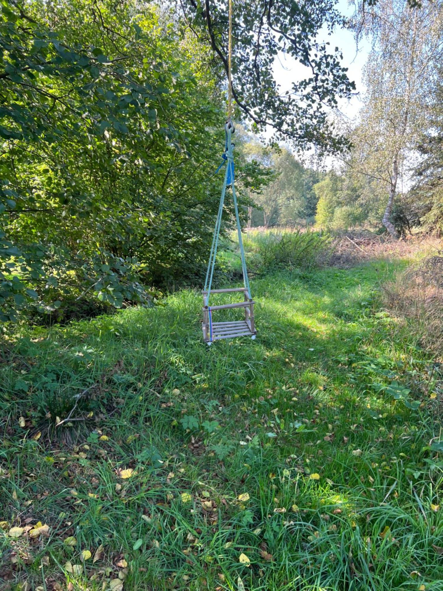 Forest Paradise Struzna